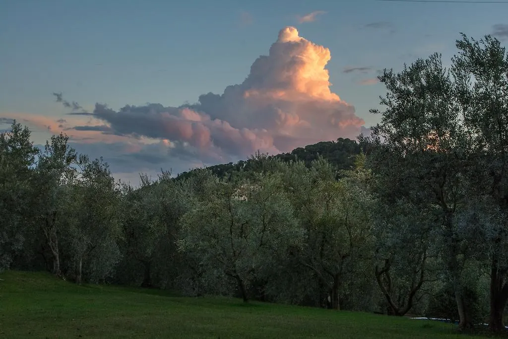 La Sassaia Villa Carmignano Italy