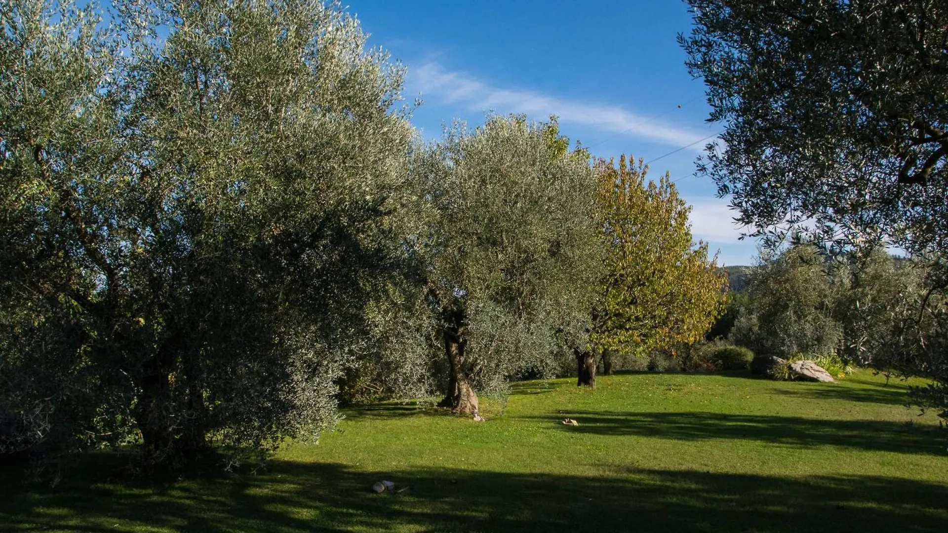 La Sassaia Villa Carmignano