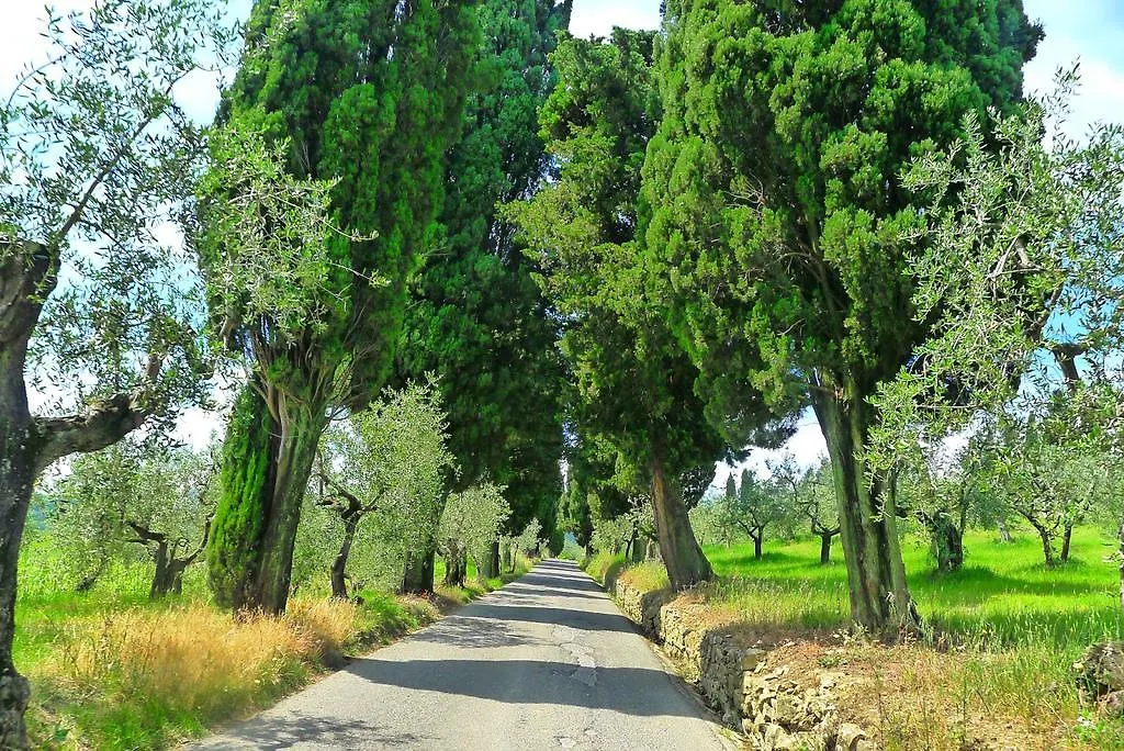 La Sassaia Villa Carmignano