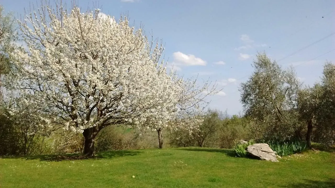 La Sassaia Villa Carmignano